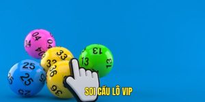 Soi-cau-lo-vip