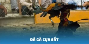 da-ga-cua-sat-j88