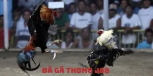 da-ga-thomo-J88_4_11zon