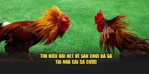 da-ga-truc-tiep-j88-anh-dai-dien