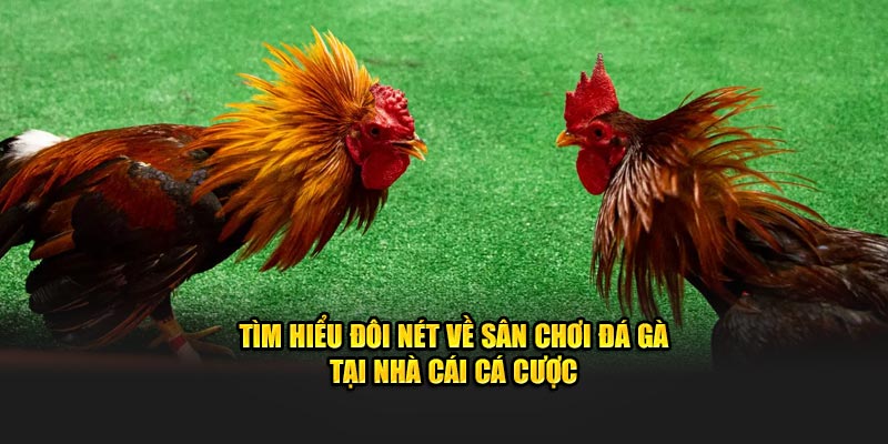 da-ga-truc-tiep-j88-anh-dai-dien